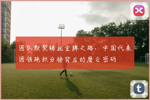 团队默契铸就金牌之路,中国代表团领跑积分榜背后的磨合密码