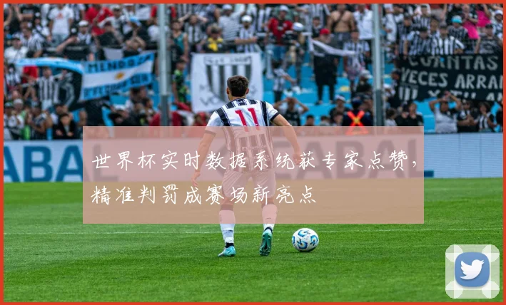 世界杯实时数据系统获专家点赞，精准判罚成赛场新亮点